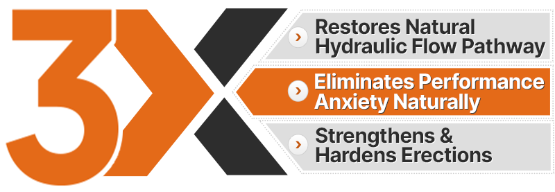 Alpha Fuel Pro System